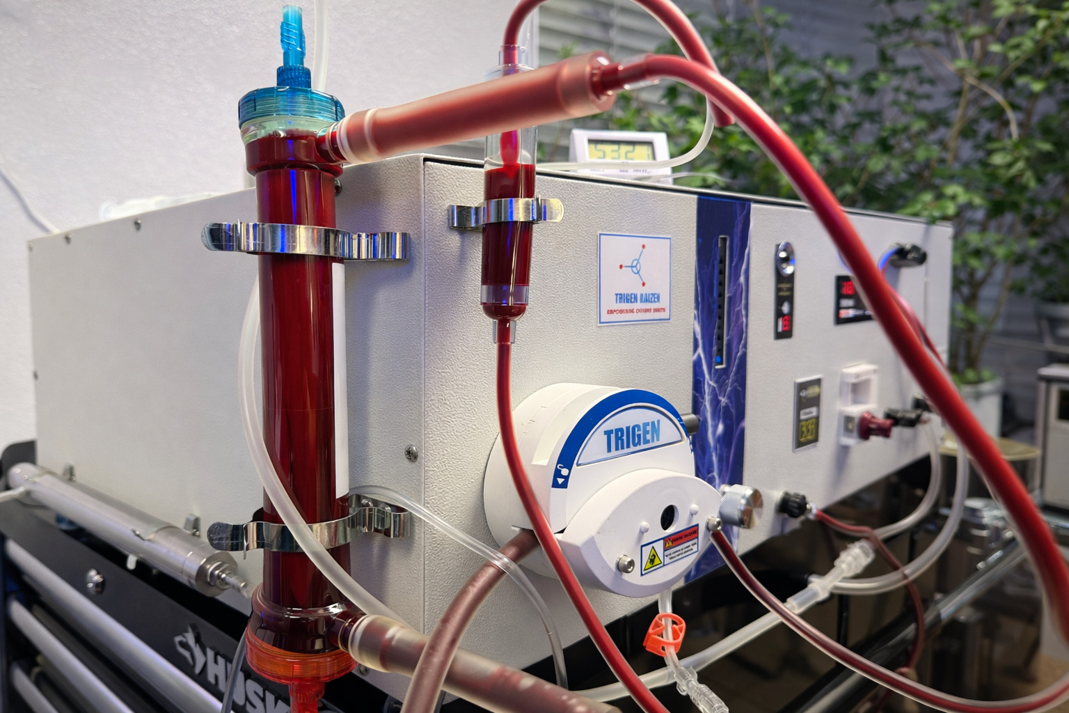 Medical Detoxification EBOO